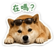 841218286