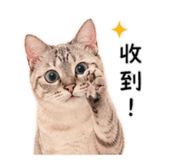 841220334