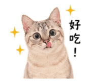 841220346