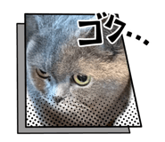 841220679