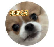 841221080