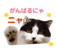 841221096