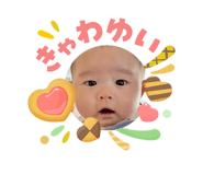 841221156