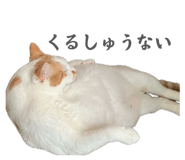 841221738