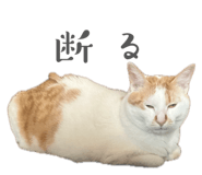 841221739