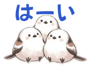 841222024