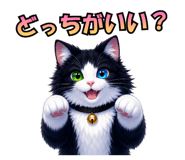 841222338