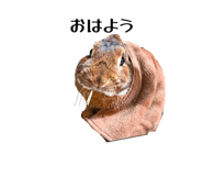 841222358
