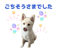 841222505