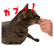 841222691