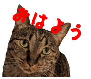 841222696