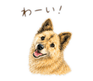 841223003