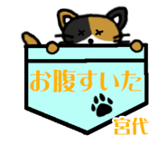 841224997