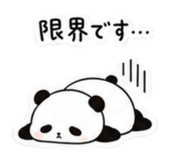 841226164