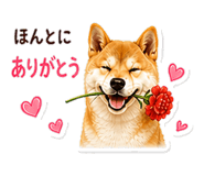 841226580
