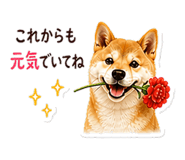 841226584