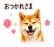 841226587