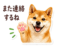 841226591