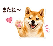 841226592