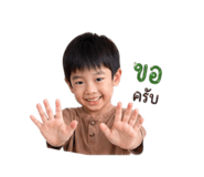 841227253