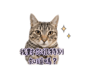 841227780