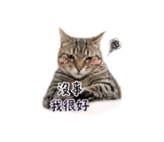841227784