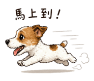 841228255