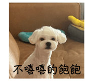 841229205