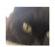 841229975