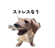 841230100