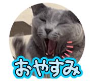 841230361