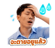 841230381