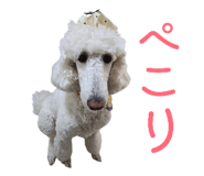841230873