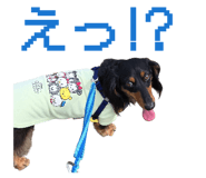 841230877