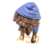 841230886