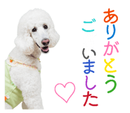 841230887