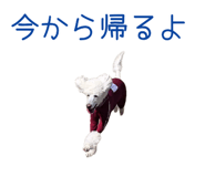 841230888