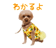 841230896