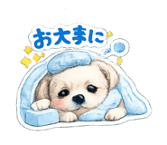 841231111