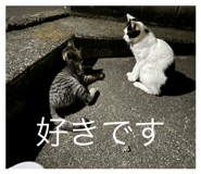 841231406