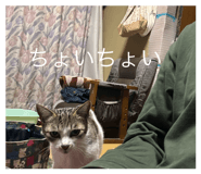 841231407