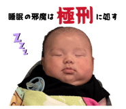 841231445