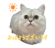 841232385