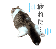 841232391