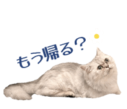 841232393