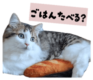 841232399