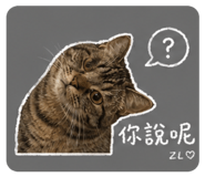 841232434