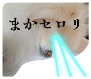 841232441