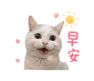 841233039