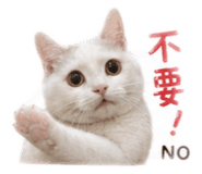 841233042